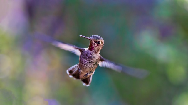 Hummingbird or Jackhammer: styles of full spectrum learning